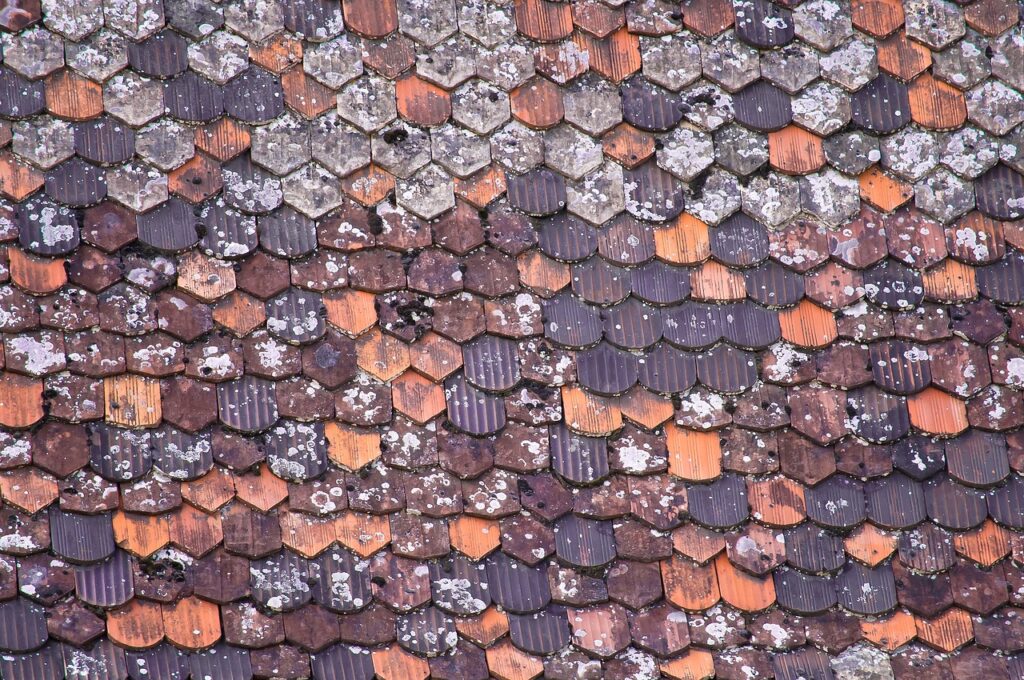 Old roof in need of a clean